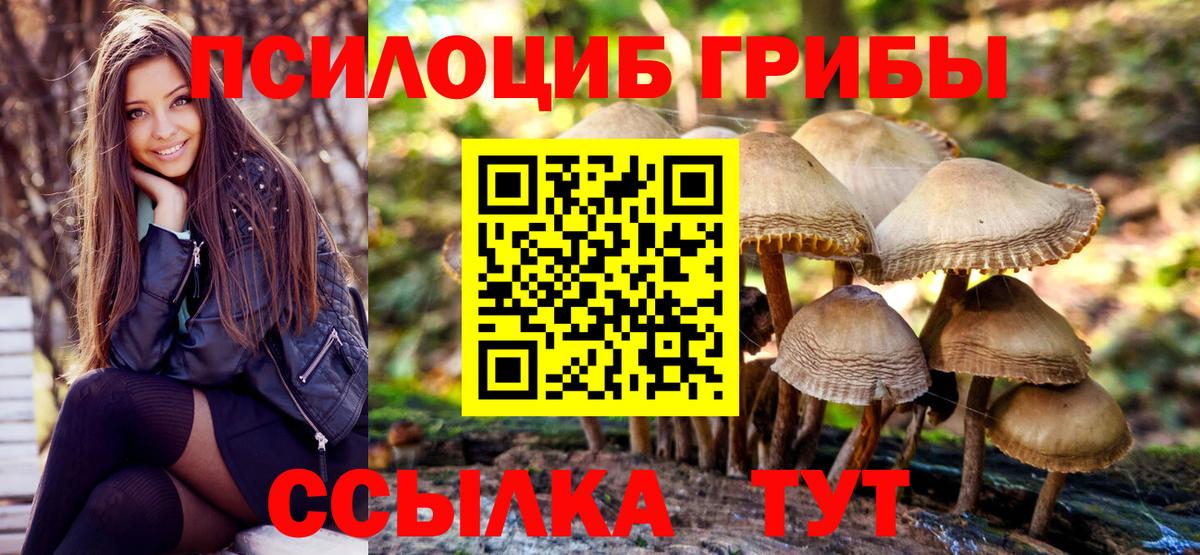 Псилоцибиновые грибы Psilocybe Верхний Уфалей